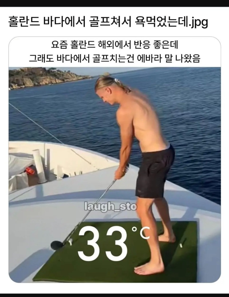 홀란드 욕쳐먹은이유