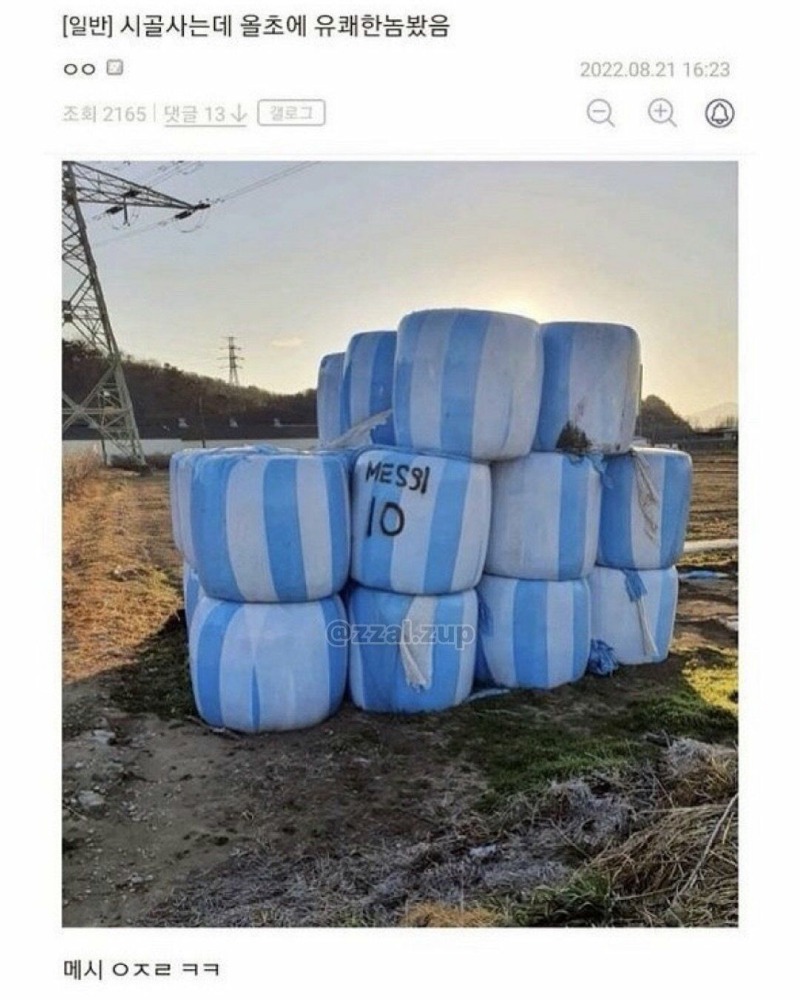  메시 ㅇㅈㄹ