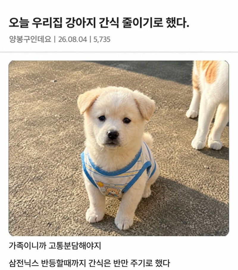 고통분담