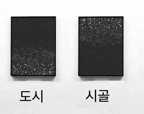 도시와 시골의 차이