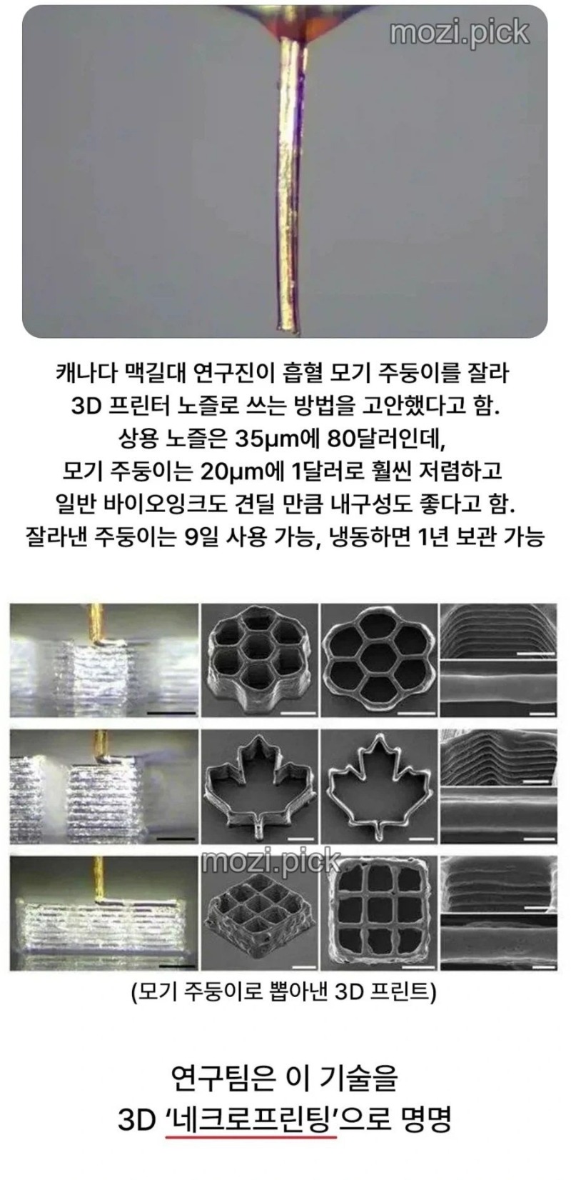 드뎌 쓸모있어진 모기