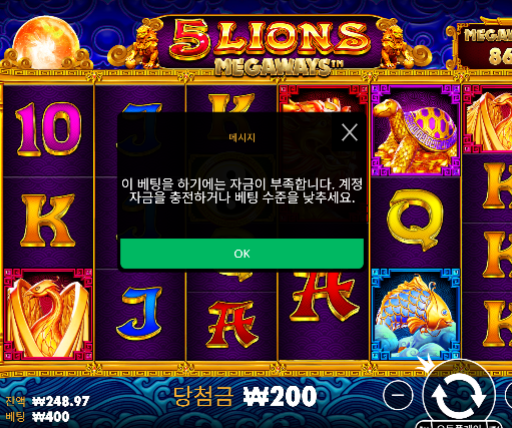 안주네...