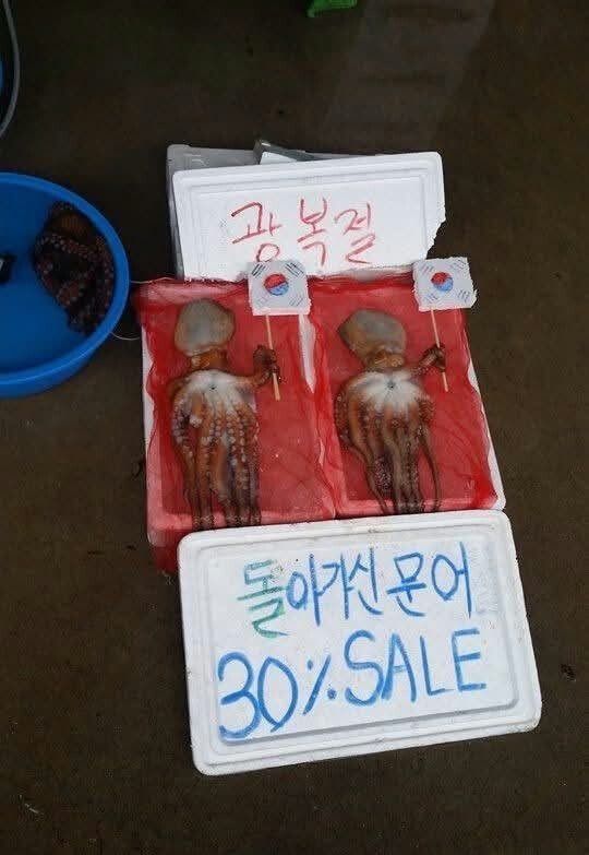 돌아가신 문어