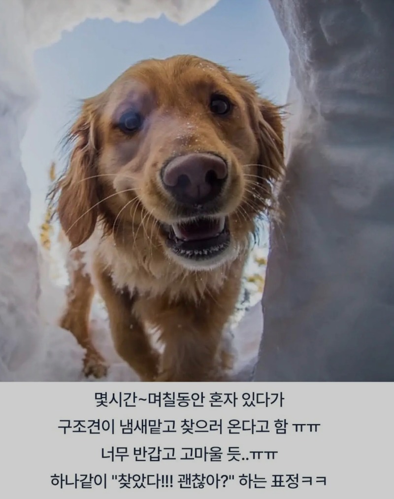 조난시 구원자의 얼굴