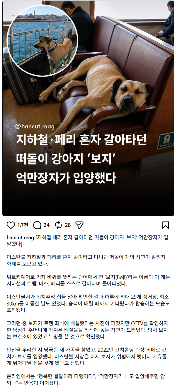 ㅂㅈ 입양