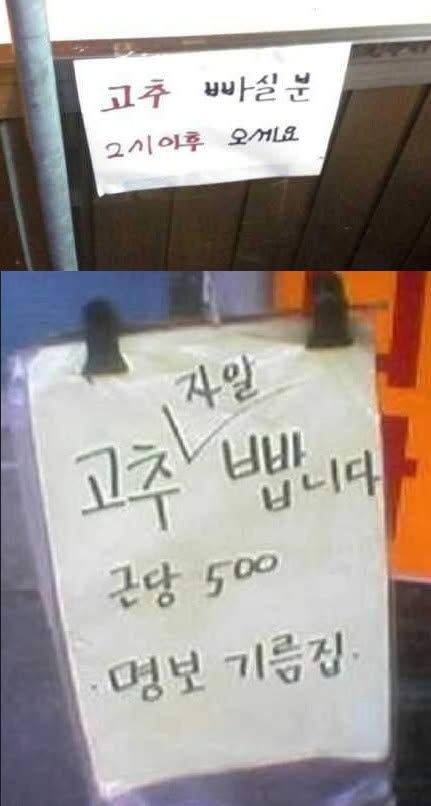 고추 빱니다