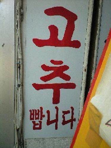 고추 빱니다