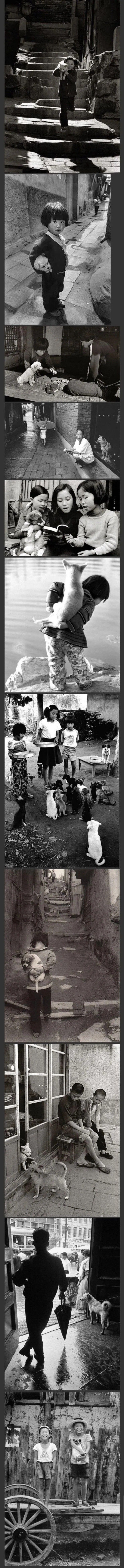 80년대 강아지와 함께