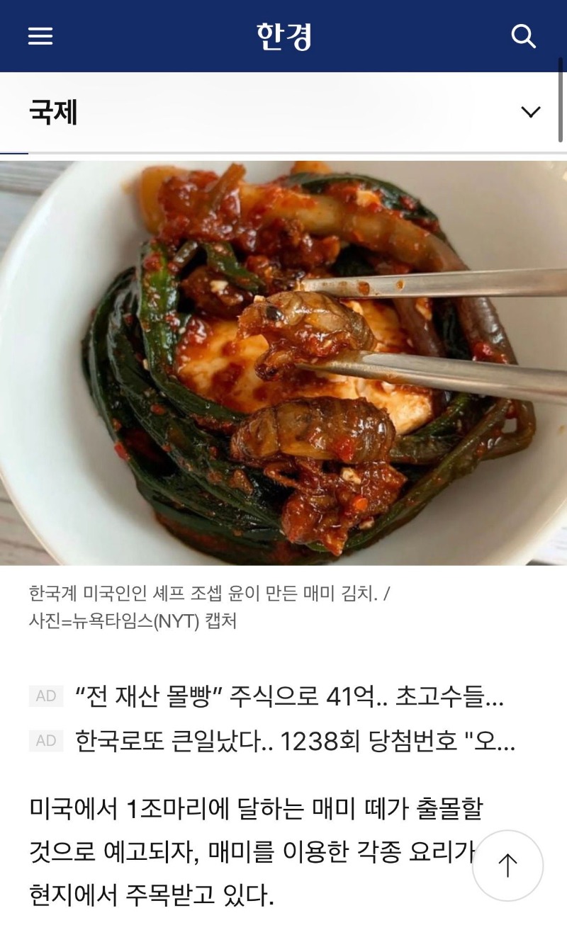 매미김치