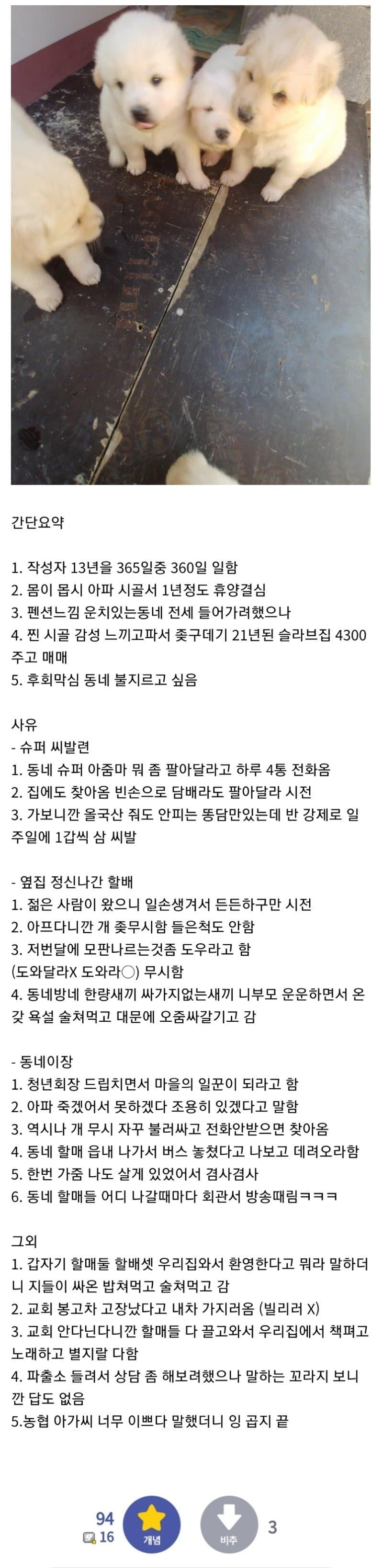 휴양하러 시골 내려간 디씨인