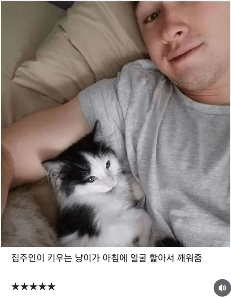 숙소 별점 5점 준 이유
