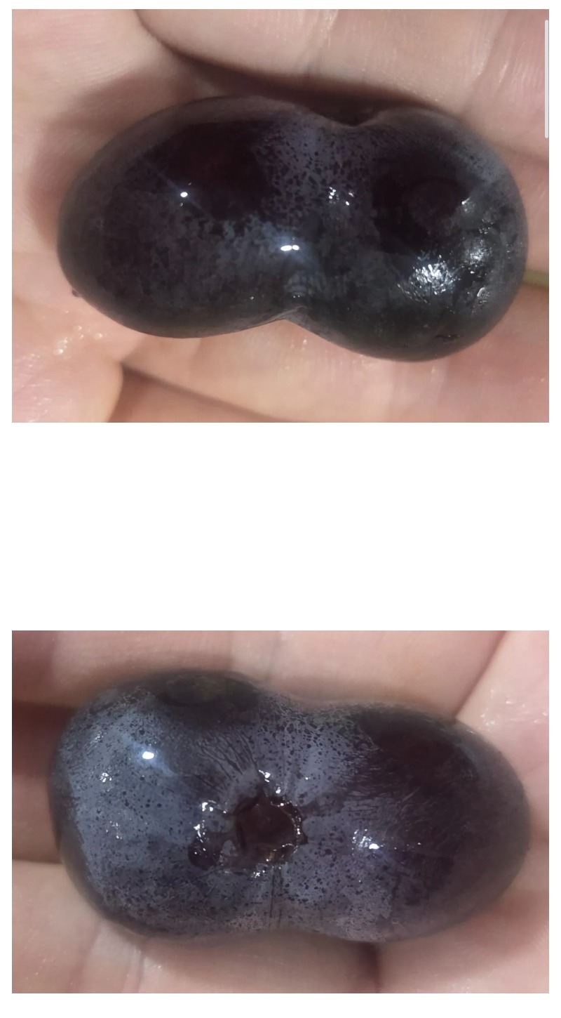 신기한 포도알
