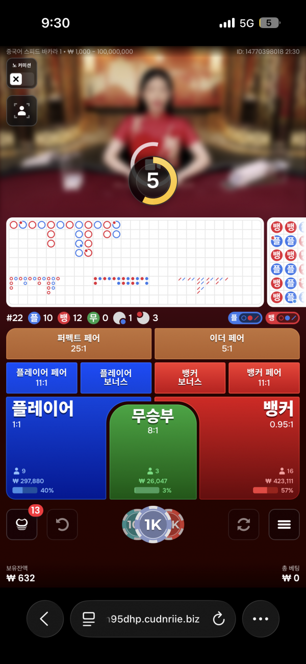 고카지노 후기