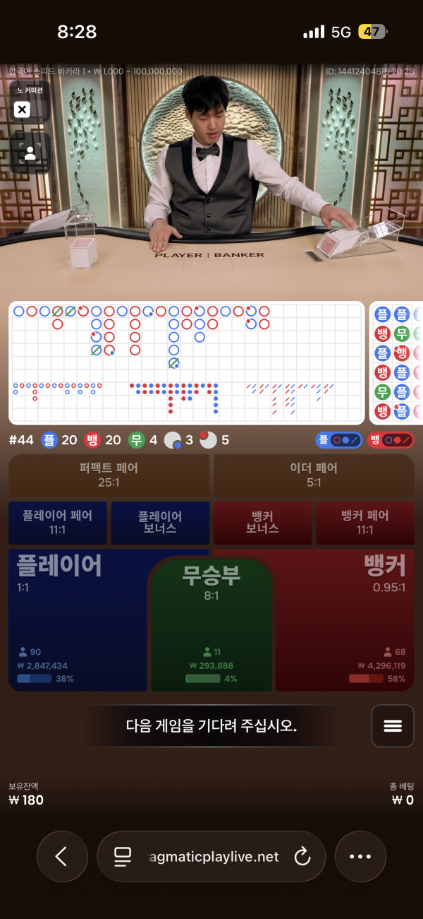 고카지노 후기
