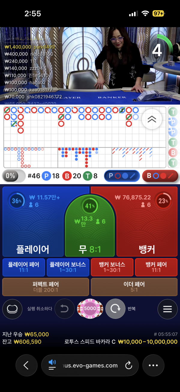 고카지노 후기