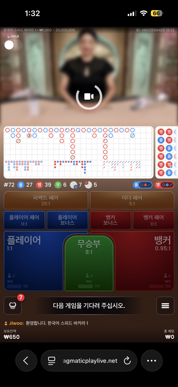 고카지노 후기