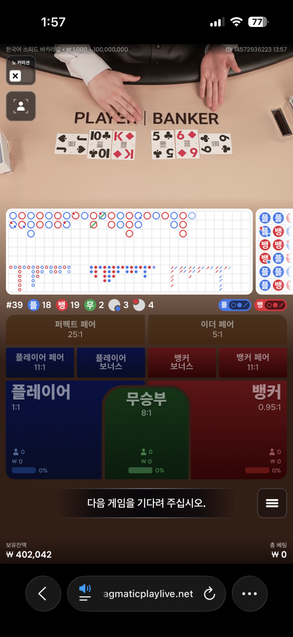 고카지노 후기