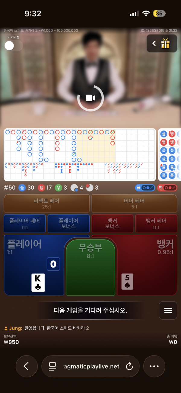 고카지노 후기