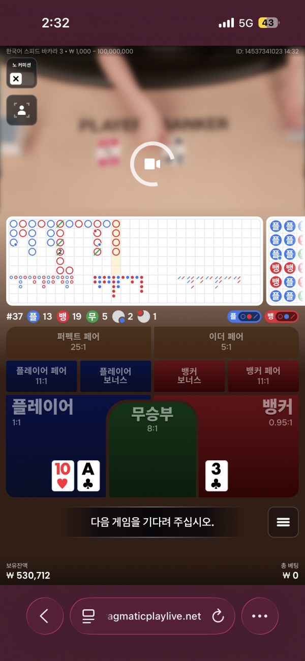 고카지노 후기