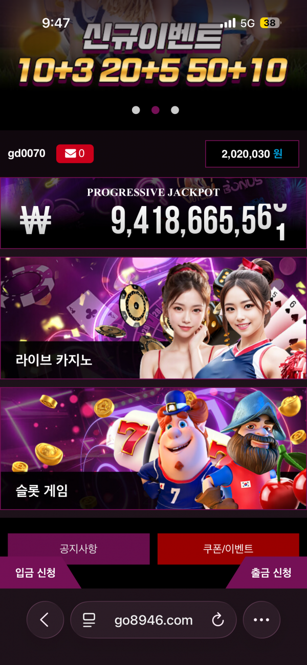고카지노 후기