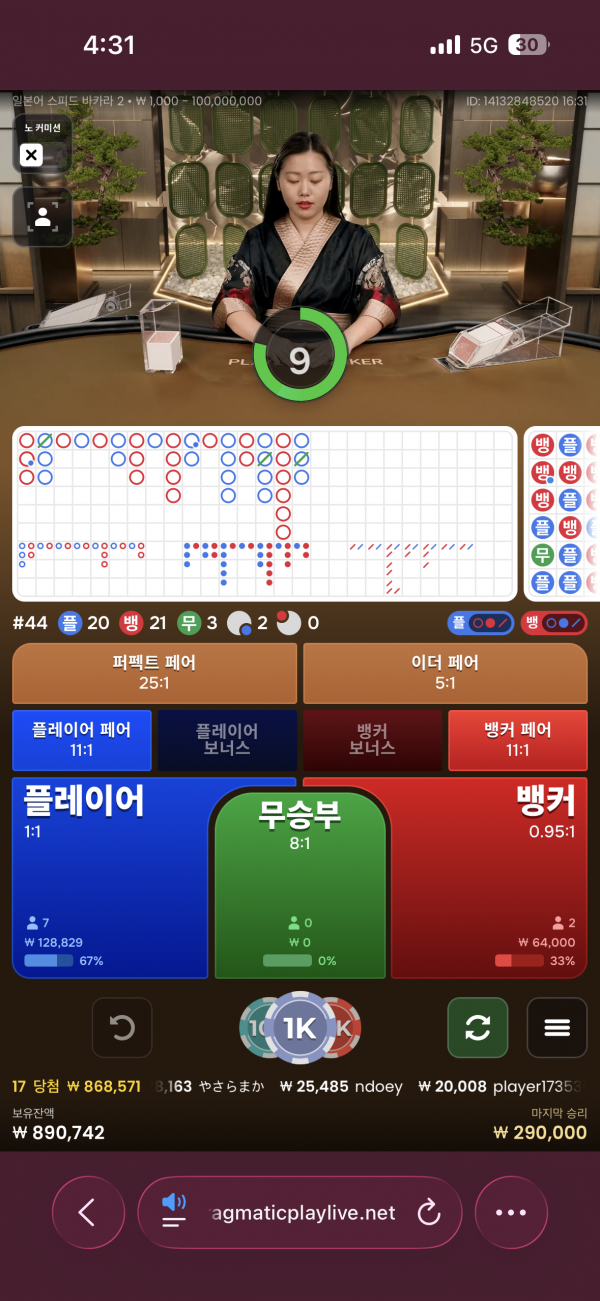 고카지노 후기
