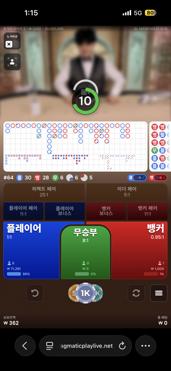 고카지노 후기