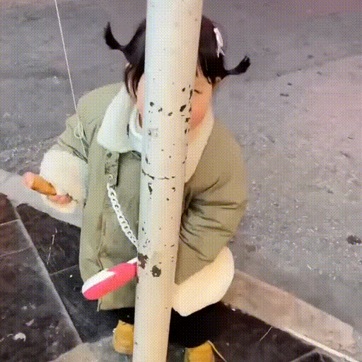 군모닝!