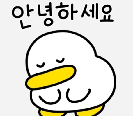 군모닝이!