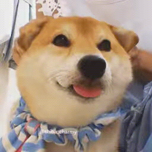구운모닝이!!!