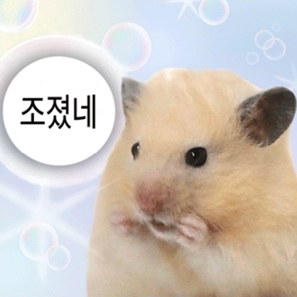 긍데 징짜루?? 긍데 징짜루??