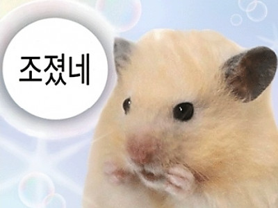 3b28145f87bee43721102b175ff7df97_vdpVI3bY_f5515d0b1d5c7fed68c912b0abe6665151351c43.jpg