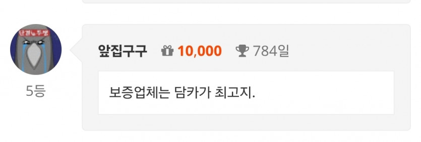 나이스555