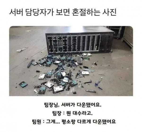 서버다운