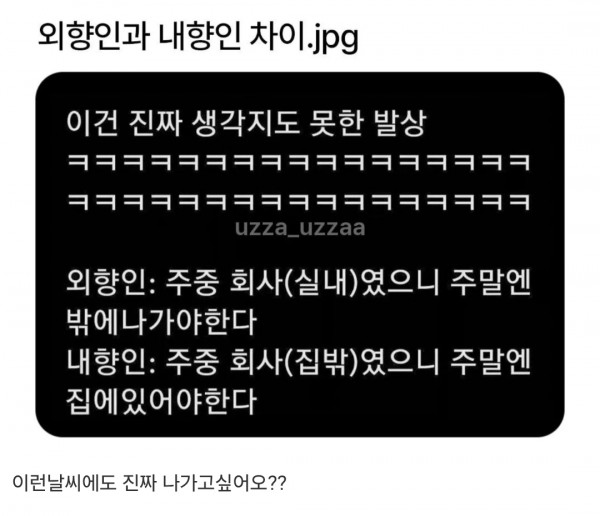 내외향인