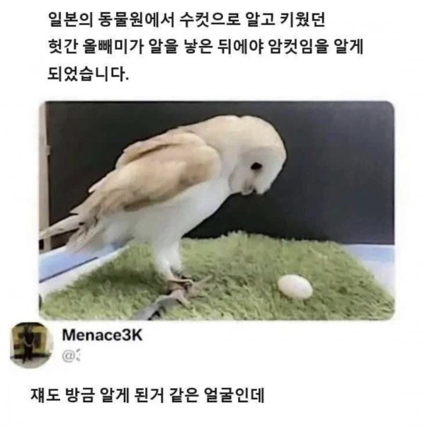 당황함